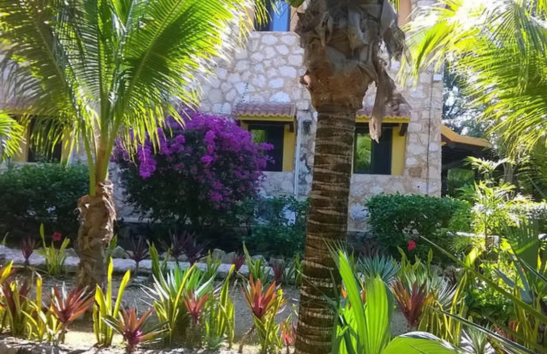 Casa De Las Tortugas I Tour Akumal-1