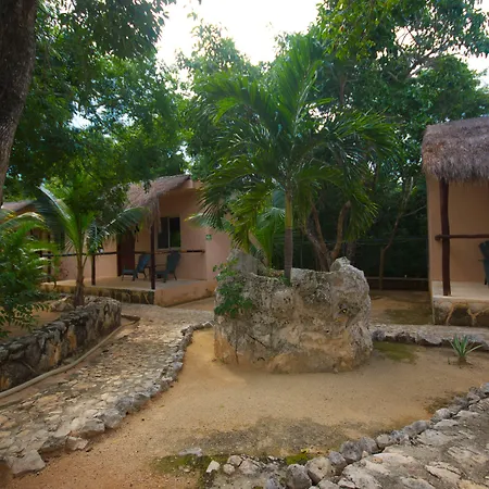 Casa De Las Tortugas I Tour Akumal-3