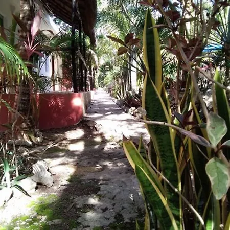 Casa De Las Tortugas I Tour Akumal-2